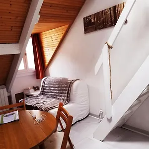  Appartement Duplex France